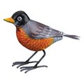 Regal Art & Gift The Robin Decor REGAL12278